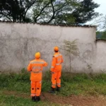 Imagem mostra dois bombeiros militares uniformizados observando uma área próxima a um muro no bairro Feixos, em João Monlevade. A equipe atuou na avaliação e eliminação de um enxame de abelhas que representava risco para participantes, organizadores e público de um evento esportivo realizado na região.