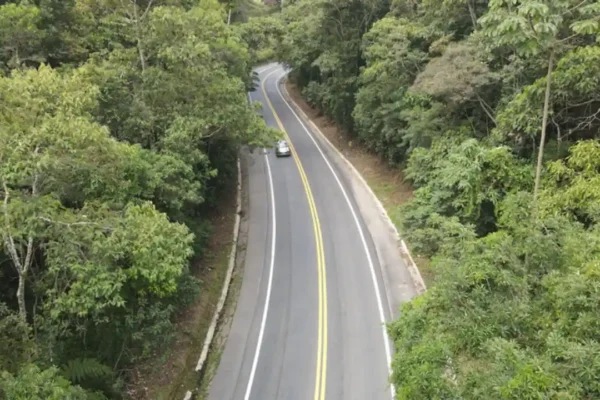 Vista aérea de um trecho da BR-262 em Minas Gerais, com pista de mão dupla atravessando uma área de mata fechada. Um veículo trafega pela rodovia, que possui curvas acentuadas e sinalização horizontal em boas condições.