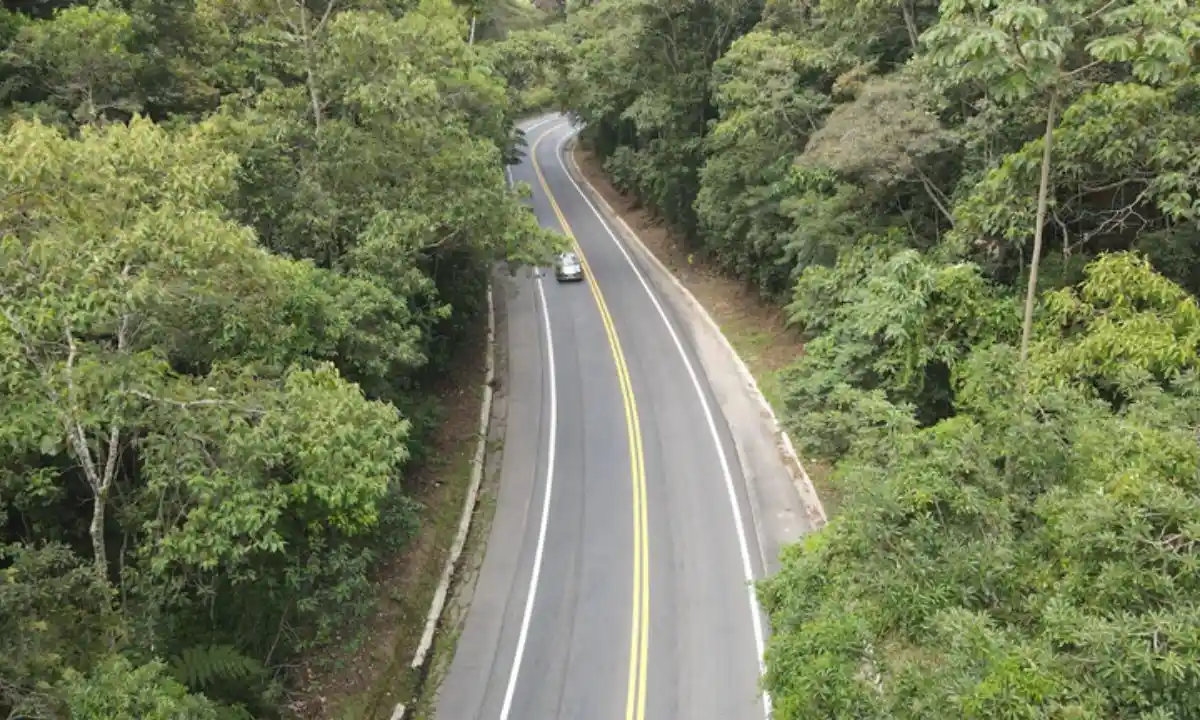 Vista aérea de um trecho da BR-262 em Minas Gerais, com pista de mão dupla atravessando uma área de mata fechada. Um veículo trafega pela rodovia, que possui curvas acentuadas e sinalização horizontal em boas condições.